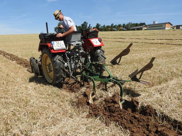Foto: geh – Gerhard Hütmeyer