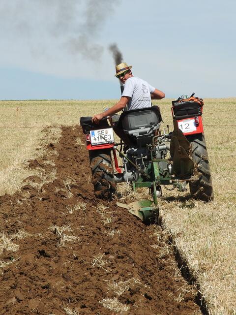 Foto: geh – Gerhard Hütmeyer
