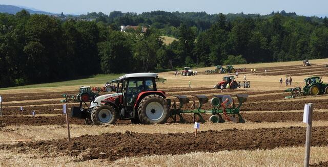 Foto: geh – Gerhard Hütmeyer