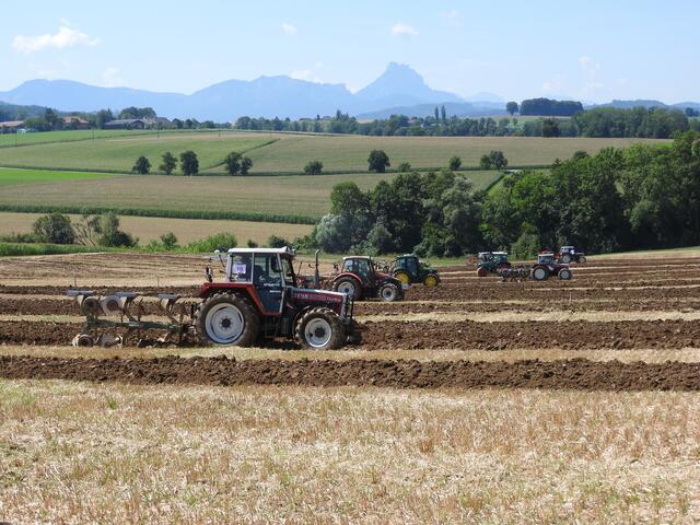 Foto: geh – Gerhard Hütmeyer