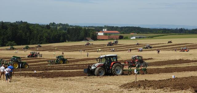 Foto: geh – Gerhard Hütmeyer
