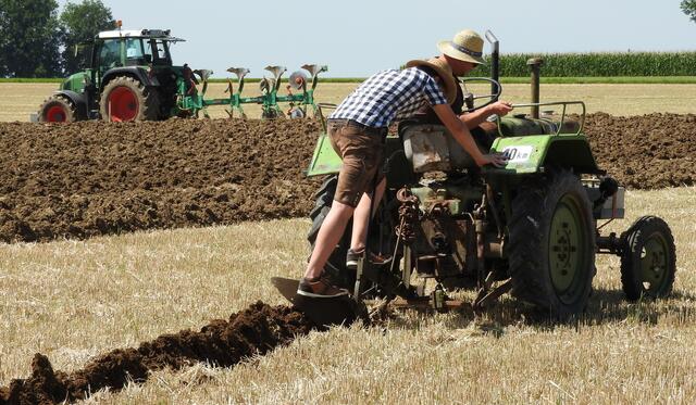 Foto: geh – Gerhard Hütmeyer
