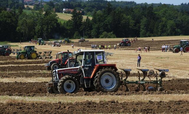 Foto: geh – Gerhard Hütmeyer