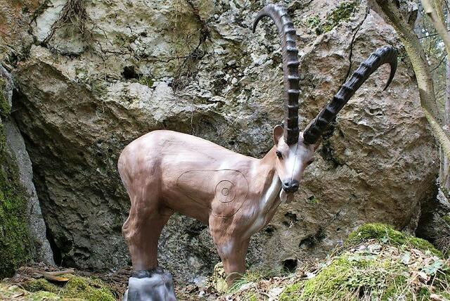 Das Zielen auf 3D-Tierimitationen erfordert Präzision, Geschicklichkeit und Konzentration. | Foto: Leopold Schmalzl III.