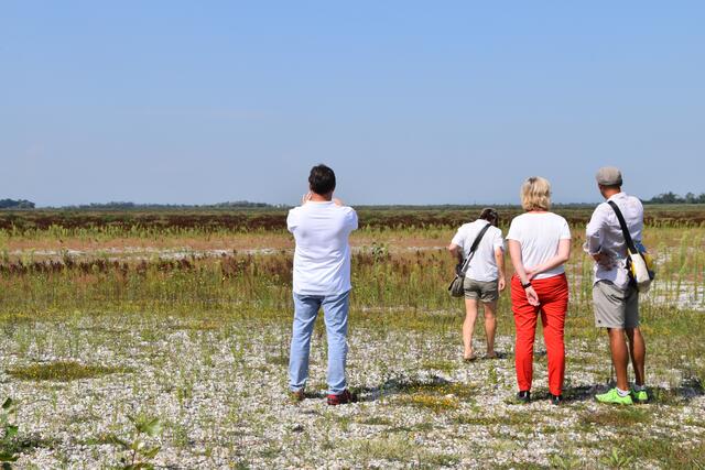 Ein Spaziergang durch den Zicksee? Kein Problem! | Foto: Stefan Schneider