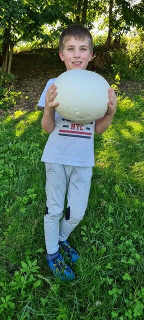 Theodor Hirschler aus Langenwang mit seinem 1,7 Kilo schweren Riesenfund – einem Riesenbovisten mit einem Umfang von 87 Zentimetern. | Foto: Hirschler