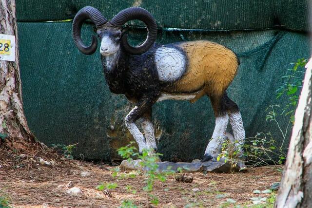 Foto: Leopold Schmalzl III.