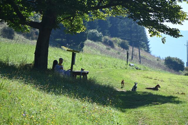 Sommeridylle auf der Promenade