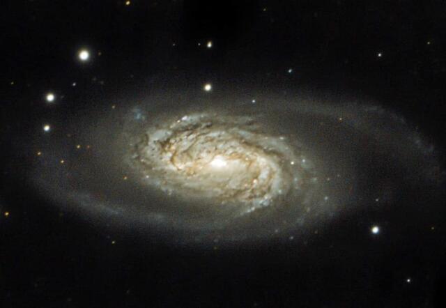 Die Galaxie NGC2903 im Sternbild Löwe | Foto: Günter Kleinschuster