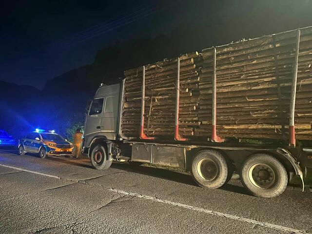 Foto: Diaspora Europeană Oficial/zVg