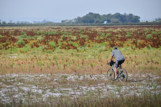 Radfahren statt Schwimmen im Zicksee. Trotz der Regenfälle bleibt der Zicksee trocken.  | Foto: Stefan Schneider