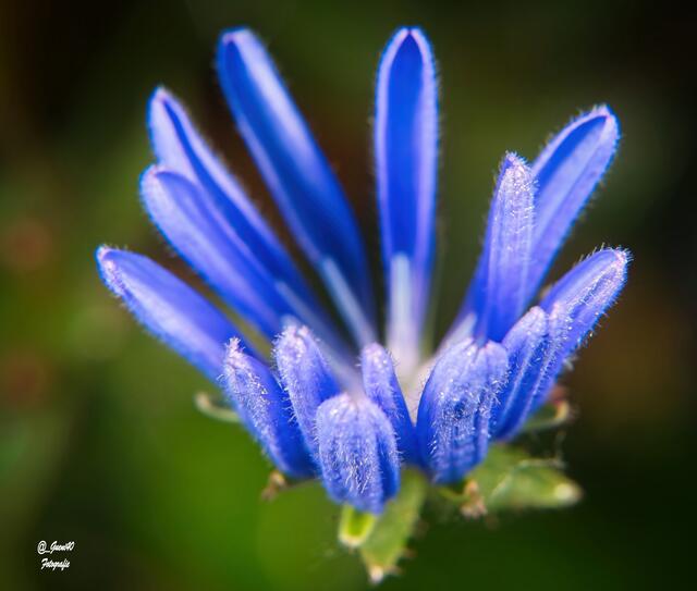 ....na,geht doch schon was weiter ...