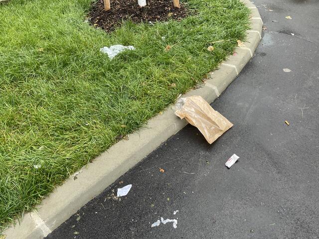 Foto: Johannes Reiterits