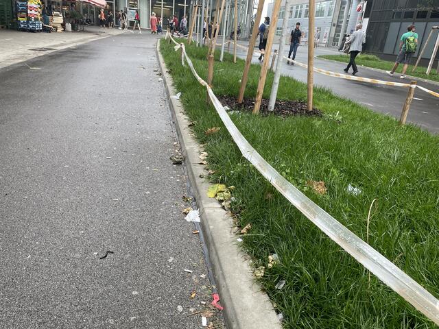 Maria-Resitituta-Platz: Insbesondere die neue Grünfläche muss allerlei Müll aushalten. | Foto: Johannes Reiterits