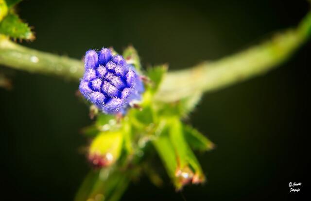 .......vorne draufgeschaut .....