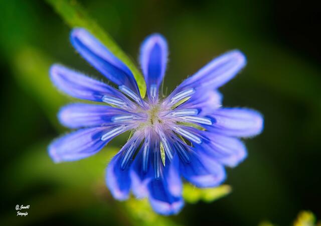 ....einmal eine andere Sichtweise .....