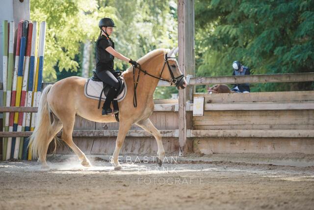 Foto: Sebastian Frank Fotografie