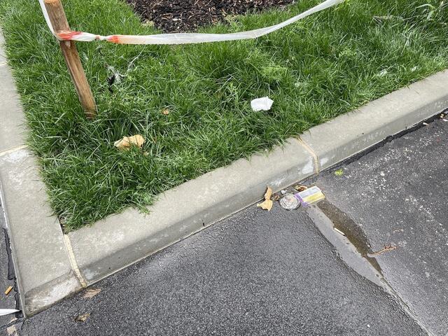 Foto: Johannes Reiterits