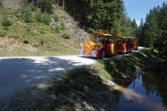 Foto: Barbara Pfurtscheller