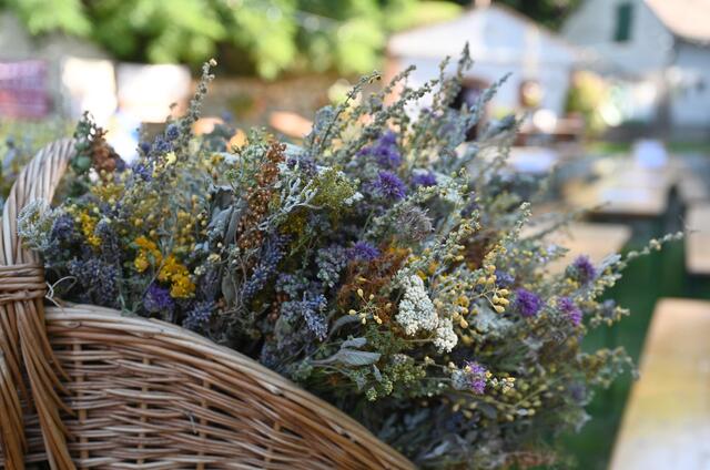 Foto: © www.markus-goestl.at