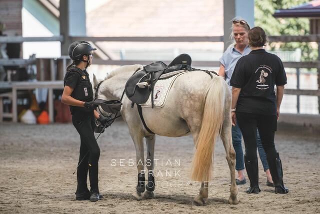 Foto: Sebastian Frank Fotografie