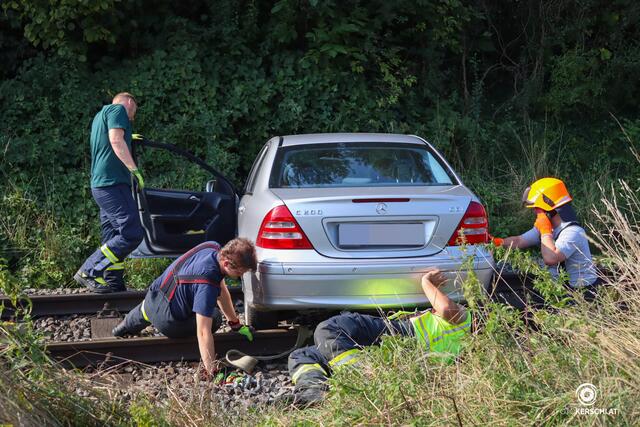 Foto: TEAM FOTOKERSCHI.AT/FINN JURANEK
