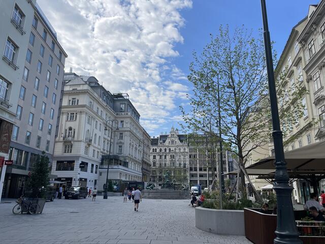Erst vor einem Jahr wurde der Neue Markt großflächig umgestaltet und fünf neue Bäume gepflanzt. | Foto: Teischl/RMA