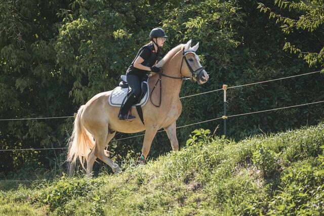 Foto: Sebastian Frank Fotografie