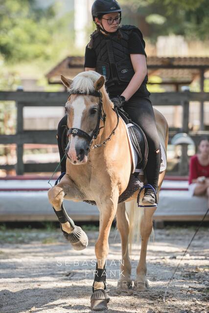 Foto: Sebastian Frank Fotografie