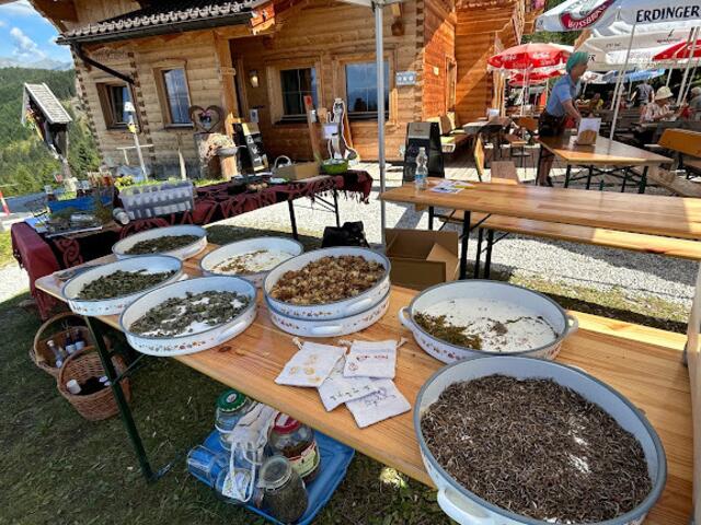 Foto: Barbara Pfurtscheller