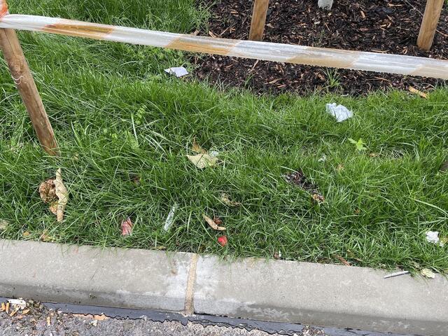 Foto: Johannes Reiterits