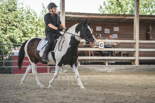 Foto: Sebastian Frank Fotografie