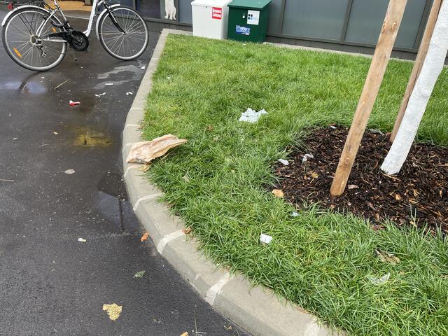 Foto: Johannes Reiterits