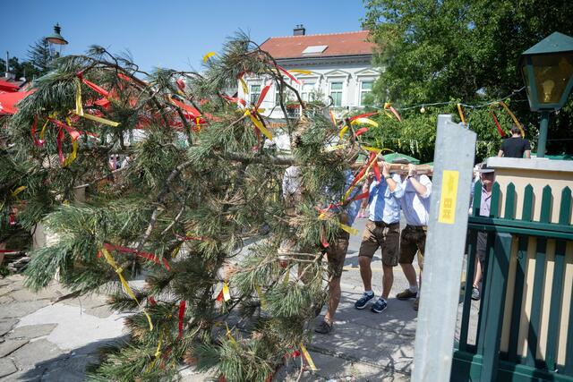Foto: René Brunhölzl/RMW
