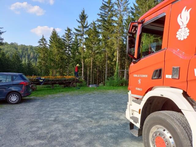 Foto: Dieter Eidler-Stehr