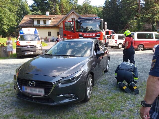 Foto: Dieter Eidler-Stehr