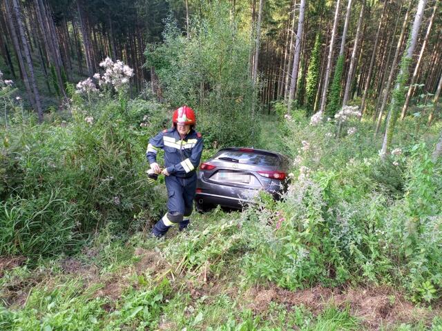 Foto: Dieter Eidler-Stehr