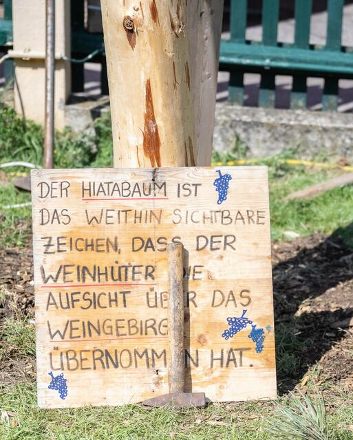 Der Hiatabaum hat eine ganz bestimmte Bedeutung. | Foto: René Brunhölzl/RMW