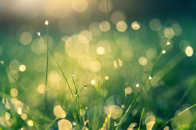 Bis Donnerstag gibt es strahlendes Sommerwetter. | Foto: Pixabay/jplenio (Symbolbild)