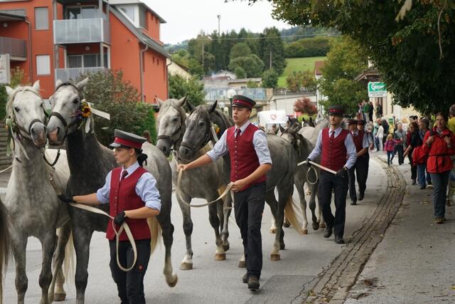 Der Lipizzaner Almabtrieb in Köflach bietet heuer noch mehr Programm als sonst. | Foto: Stadtgemeinde Köflach