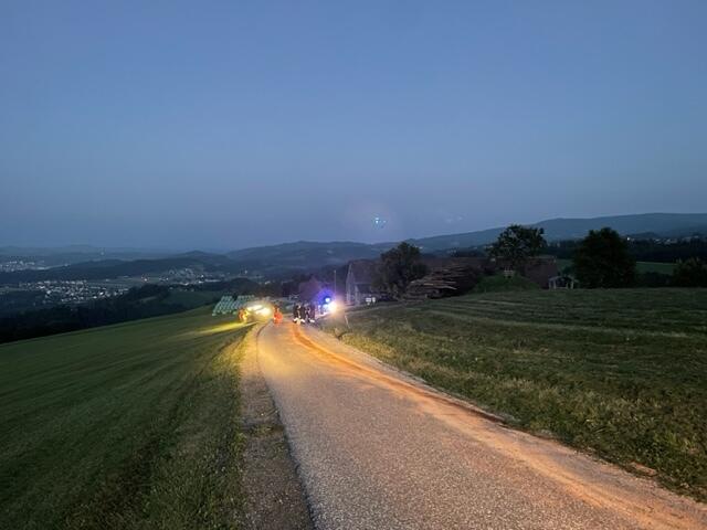 Eine rund 250 Meter lange Ölspur musste zwischen Gößnitz Dorf und Hochgößnitz gebunden werden. | Foto: Dominik Kinzer