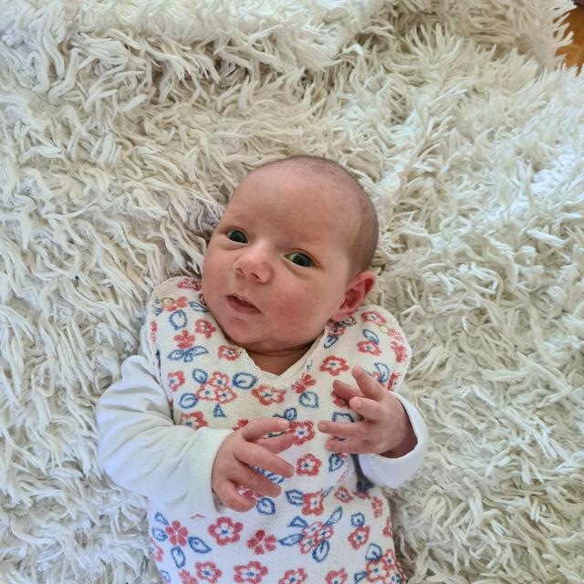 Adele Maria
Geburt: 11. Juli 2023
Eltern: Petra und Günther Schilder
Grabersdorf
2.980 g, 50 cm | Foto: KK