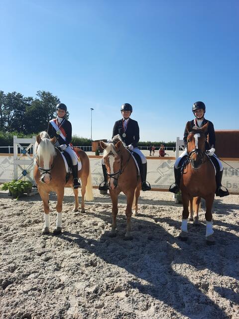 Die Dressurreiter:
Franziska Hetzlinger auf Sterni
Sara Schoberleitner auf Amalthea
Hannah Dullinger auf Bonanza | Foto: Karin Hetzlinger