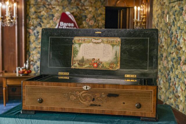 Foto: ServusTV/On Media/Thomas Salamonski