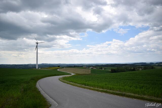 Der Windräderweg Raab ist eine 8,1 Kilometer lange, gemütliche Wanderung. | Foto: Gabriele Pröller