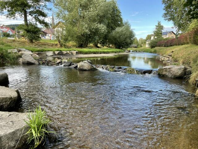 Das "Kulturplatzl Sauzipf" wurde behördlich aufgelöst | Foto: Herbert Enzenhofer