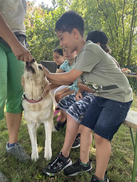 Die Kinder unternahmen mit der Hollabrunner Lerntafel einen Ausflug nach Magersdorf. | Foto: Hollabrunner Lerntafel