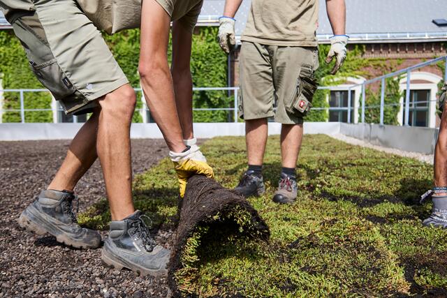 Die Dachbegrünung des WUK ist abgeschlossen.  | Foto: Ulrike Mayrhuber