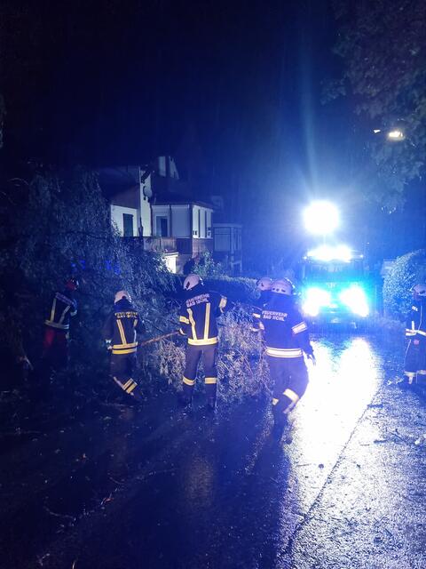 Zwei umgestürzte Bäume in der Höchsmannstraße sorgten in der Nacht auf 25. August für einen Feuerwehreinsatz. | Foto: ff-badischl.at