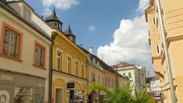 17.08.2023 Weinreben auf der Fassade